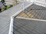 北面屋根のカビ・藻の発生例１の写真