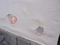 透湿性が必要な箇所に塗られた不適切な塗料の膨れ現象。