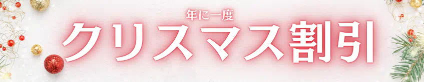 年に一度のクリスマス割引