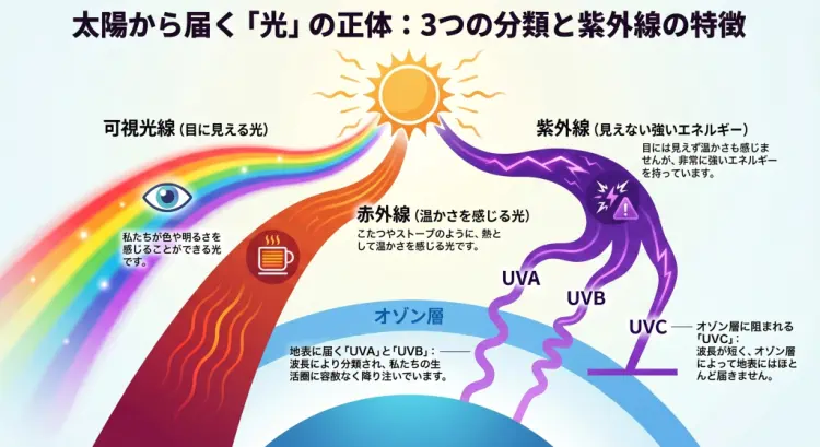 紫外線の3つの分類画像