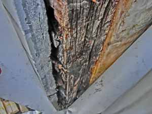 外壁コーキングのひび割れからの雨水浸入による構造材の腐食の画像